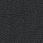 naval academy midshipmen