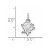Black Bow Jewelry 14k White Gold Pittsburgh Penguins NHL Extra Small Pendant - 2 of 3