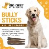 Dog Chits Bully Sticks for Dogs and Puppies | Natural Healthy Long Lasting Chew for Large and Small Dogs Protein Treats | Odor Free - 2 of 4