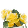 Unique Bargains Artificial Plants 3-Piece Spiral Lotus Plastic 4.33"x4.33"x4.33" 1 Pcs - 4 of 4
