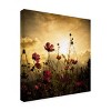 Trademark Fine Art -Christian Marcel 'Watching The Sun' Canvas Art - 4 of 4