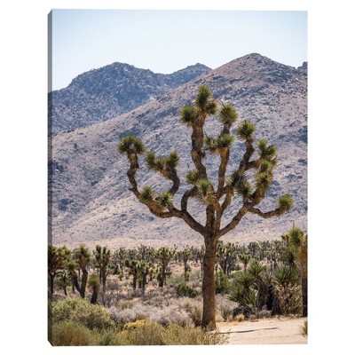 33" x 25" Joshua Tree 12 by Christine Beadnell Framed Wall Canvas - Masterpiece Art Gallery