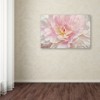 Trademark Fine Art -Cora Niele 'Pink Peony' Canvas Art - 3 of 3