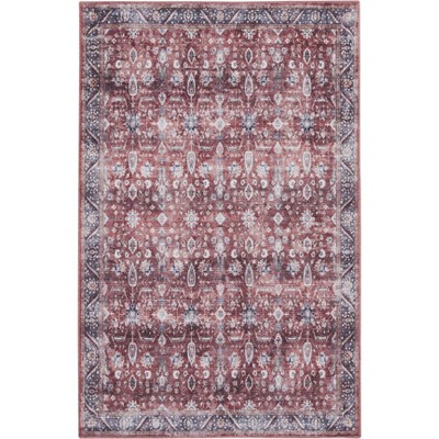 Nourison Washable Brilliance Bordered Vintage Indoor Rug
