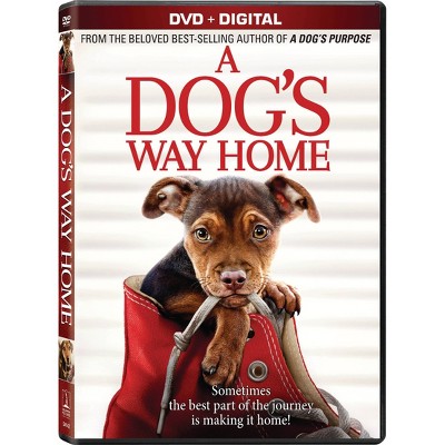 A Dog s Way Home dvd Target