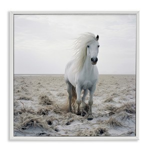 Stupell Industries Windswept Beach Horse Black Framed Giclee Art - 1 of 4