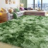 Tie-Dyed Green Fluffy Area Rug, Ultra Soft Non-Slip Mat with 4 Stickers, Multiple Sizes for Home Decor - 3 of 4