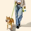 THE LICKER STORE Teddy Boucle Adjustable H Harness and Leash Walk Set with Poop Bag Pouch - 2 of 4