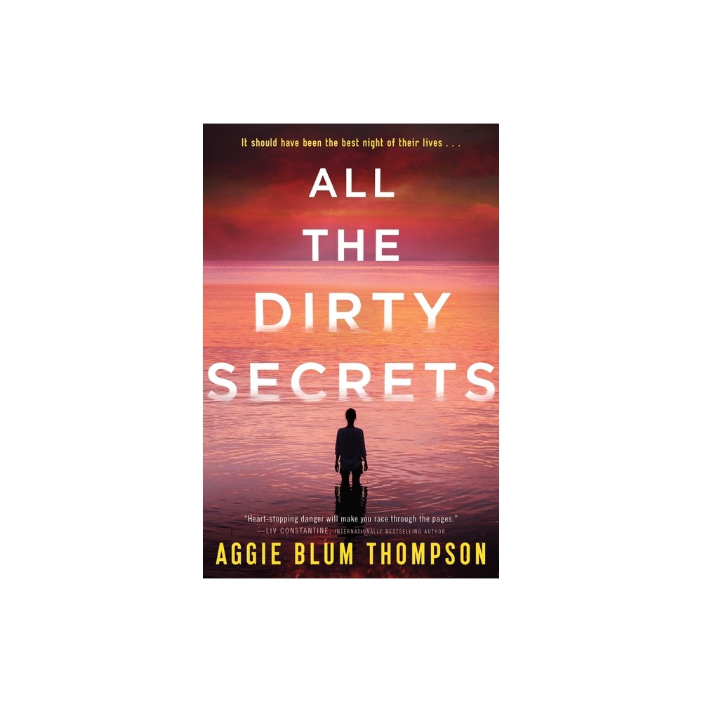 All the Dirty Secrets - by Aggie Blum Thompson (Paperback)