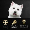 Cesar Filets in Gravy Variety Pack Small Breed Wet Dog Food - 3.5oz/12ct - 4 of 4