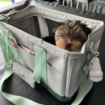 Dr. Oakley Airline Approved Pet Travel Bag With Detachable & Washable Liner  - Stylish And Convenient Carrier Solution : Target