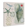 Stupell Industries Sea Shell Inspirational Collage, 24" x 24" - 3 of 4