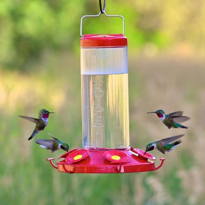 Large Clear and Red Plastic Hanging Hummingbird Feeder