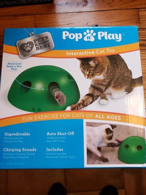 Pop and play shop toy for cats