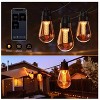 BlueAcorn Bluetooth LED Edison Indoor/Outdoor String Lights for patio, 48ft - 4 of 4