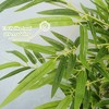 Bamboo Tree Artificial , Artificial Bamboo Tree With Real Trunk and Lifelike Leaves, Faux Bamboo Plants for Home Decor Indoor, 1 Pack - 4 of 4