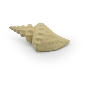 Collectible Wildlife Gifts | Tuba Shell, Hemifusus, Sea Snail, Ocean, Sea Life, Plastic Model, Realistic,  Animal, Life Like, Gift,  3"  F4112 B96 - 1 of 4