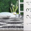 Beach House BHS268 UV & Stain Resistant Non-Shedding Power Loomed Indoor/Outdoor Rugs - Safavieh - 4 of 4