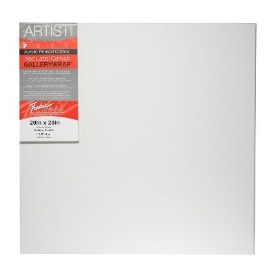 Fredrix Gallerywrap Stretched Canvas, 20 X 20"