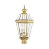 Livex Lighting Georgetown 3 - Light Lantern in  Polished Brass - 4 of 4