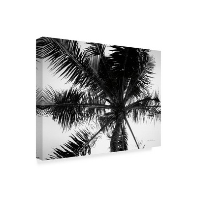 Trademark Fine Art -Debra Van Swearingen 'Palm Tree Looking Up Iii' Canvas Art