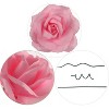 Floral Home 8" Pick Pink Rose - 50-Piece - 3 of 4