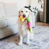 ZippyPaws Caterpillar Dog Toy - Yellow - 3 of 4