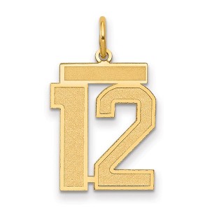 Black Bow Jewelry 14k Yellow Gold, Jersey Collection, Medium Number 12 Pendant - 1 of 3