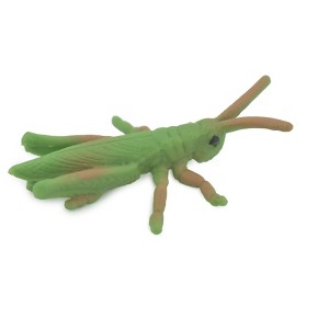 Collectible Wildlife Gifts | Grasshopper, Acrida, Acrididae, High Quality, Rubber Insect, Hand Painted, Toy, Model, Gift,   2 "   CH619 BB167 - 1 of 4