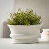 Sullivans Low Oval Planter Vase 5"H Off-White - 3 of 4