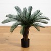 Nearly Natural 2-ft Cycas Artificial Tree, UV Resistant (Indoor/Outdoor) - 3 of 4
