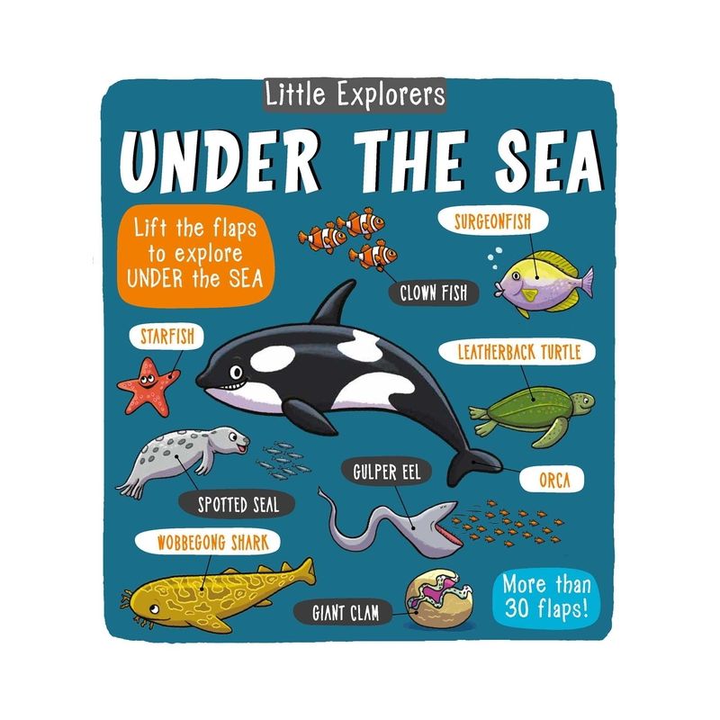 Little Explorers: Under the Sea - by  Little Bee Books (Hardcover), 1 of 2