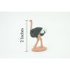 Collectible Wildlife Gifts | Ostrich, Flightless Wonder, Struthio camelus, Hand Painted, Rubber Bird, Realistic Figure,  Model, Gift,  2 1/2" SF25 B45 - 3 of 4