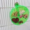 Bird feeder, parrot feeder, acrylic foraging wheel, pet parrot rotating anti bite puzzle toy, green - 4 of 4