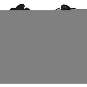 Palmgard Adult Xtra Protective Inner Glove - 1 of 1