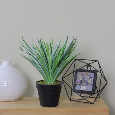 13" Green and White Artificial Grass Plant in Black Pot