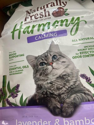 Guest review image 1 of 2, zoom in