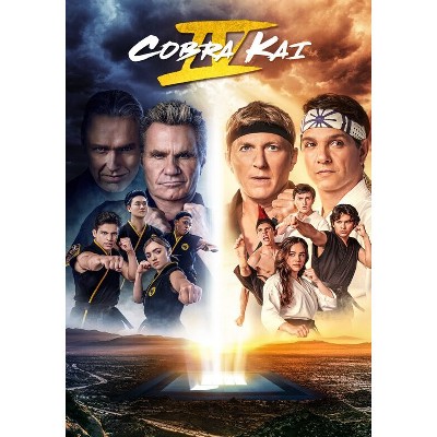 Cobra Kai Season 4 dvd Target