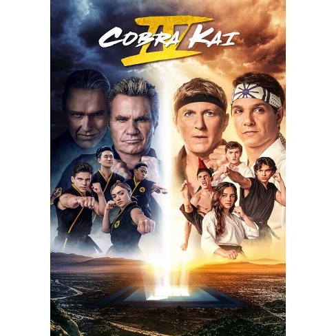 Cobra Kai - Season 4 (DVD)