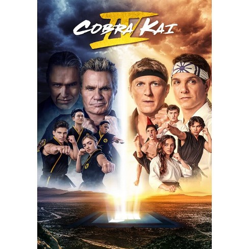 Cobra Kai - Season 4 (DVD) - image 1 of 1