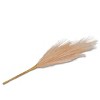 Faux Foliage Pampas - Bullseye's Playground™ - 2 of 3