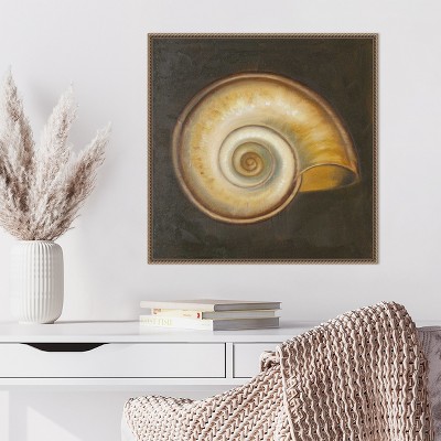 Patricia Pinto Nautical Seashell Canvas Framed Wall Art 22 x 22-in.