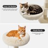 75.6 Inches Large Cat Tree with Litter Box Enclosure, 2-in-1 Multi-Level Cat Tower with Condos - 4 of 4