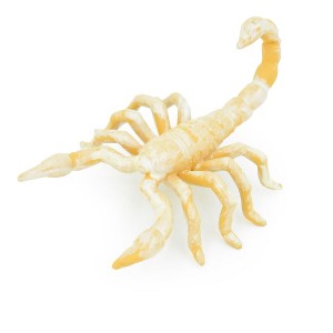 Collectible Wildlife Gifts | Scorpion, Cave, Arachnids, Plastic Toy Insect Kids Gift, Realistic Figure,  Model,  Gift       2 1/2"     F765 B625 - 1 of 4