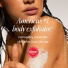 FIRST AID BEAUTY Exfoliating Body Scrub for Sensitive to Normal Skin - Ulta Beauty - 2 of 4