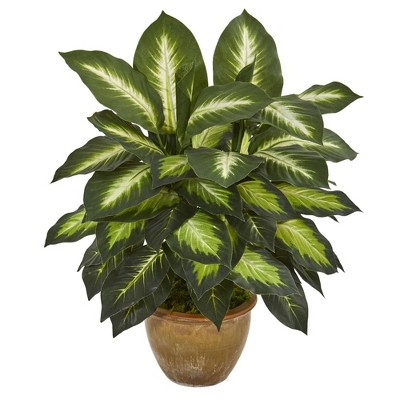 18" x 16" Artificial Dieffenbachia Plant in Ceramic Planter - Nearly Natural