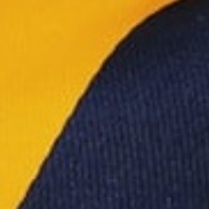 navy blue and gold