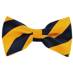 Men's 2.75 W And 4.75 L Inch With Pre-Tied College Stripe Bowtie - 1 of 3