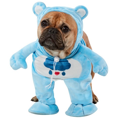 A Shih Tzu Wearing a Walking Teddy Bear Costume