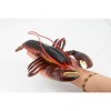 Collectible Wildlife Gifts | Lobster, Boston, American, Museum Quality, Rubber Crustacean, Hand Painted, Realistic Toy Model, Gift,   9"   CH347 BB135 - 2 of 4